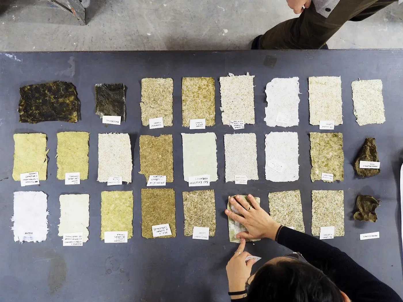 A range of paper sheet prototypes with seaweed inclusions.