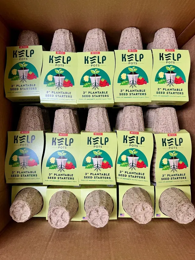 Kelp Pots in their packaging.